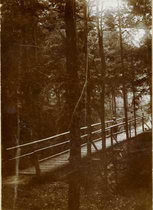 "Partie im Walde" 1905
